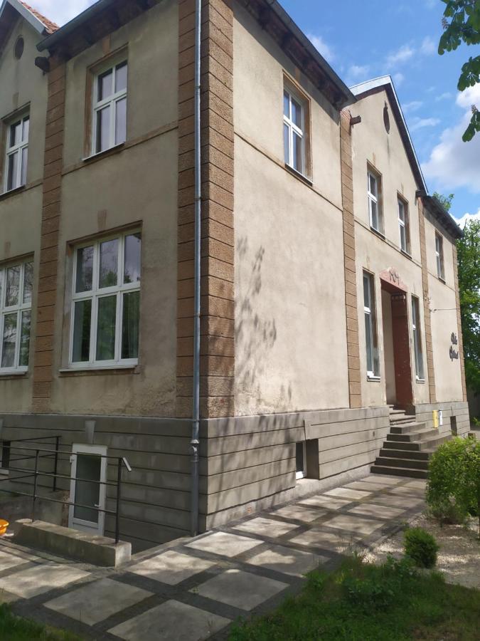 Feniks Pokoje Goscinne Malbork Bagian luar foto